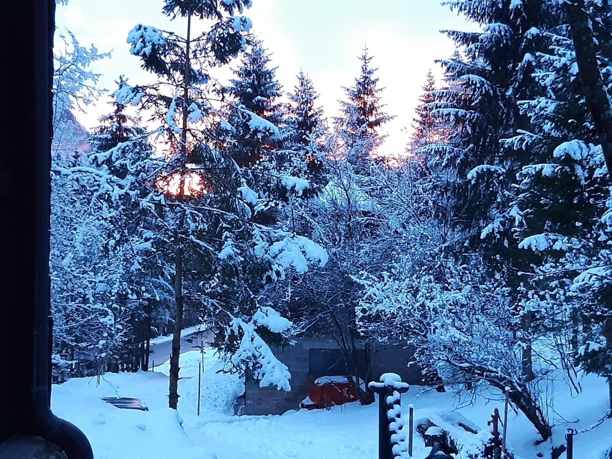 Ferienhaus Blommers Palfau Zewnętrze zdjęcie
