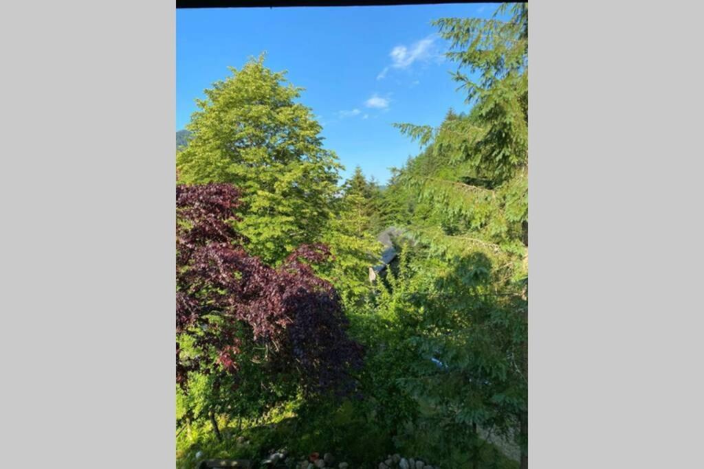 Ferienhaus Blommers Palfau Zewnętrze zdjęcie