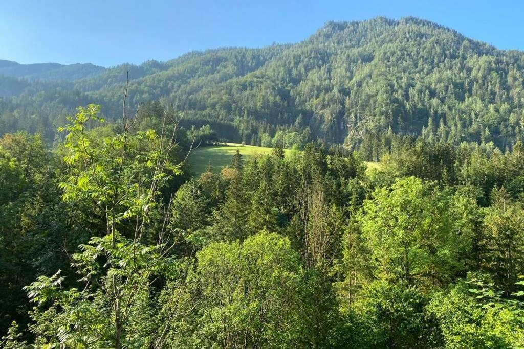 Ferienhaus Blommers Palfau Zewnętrze zdjęcie